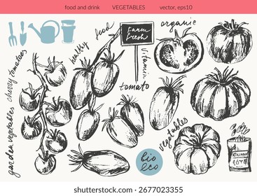 Dibujado a mano de calabaza de tinta, calabaza de mantequilla, bocetos de verduras. Dibujos de alimentos para etiquetas y envases. Menú vegetariano. Dieta saludable.