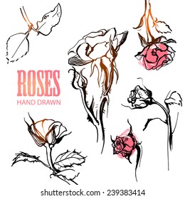 Hand Drawn Ink Roses Vector Illustration Stock Vector (Royalty Free ...