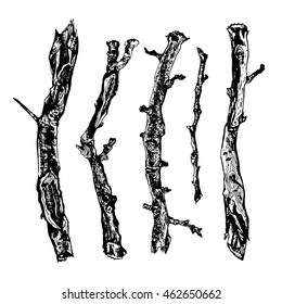 Hand drawn ink rustic design vector elements. Collection of wood tree dry branches. Vintage, boho, tribal rustic set. Highly detailed ink art in engraved style