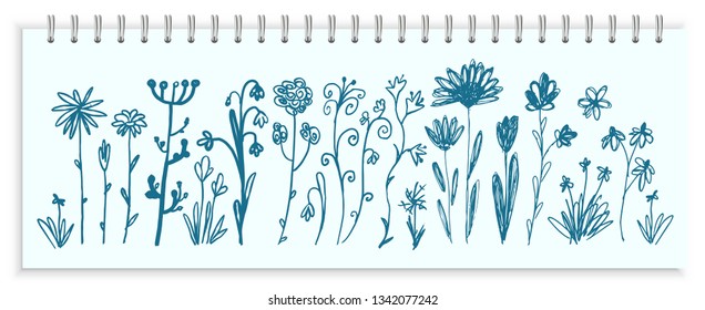 Hand drawn ink scandinavian flowers or sketchy herbal elements isolated. Vector illustration doodle floral and flower set