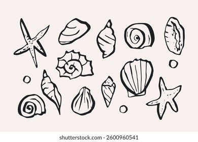 Hand drawn ink seashells collection