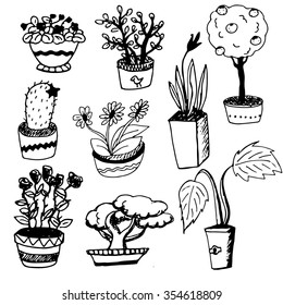 Illustration Houseplants Indoor Office Plants Pot Stock Vector (Royalty ...