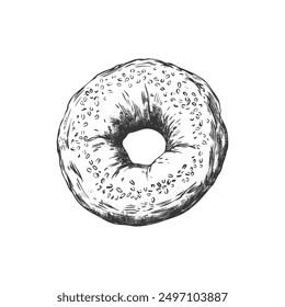 Hand drawn ink sketch. Bagel vector illustrations engraving