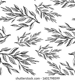 Hand drawn ink sketch  branch plants with leaves. Seamless pattern botanicalvector illustration isolated on a transparent background