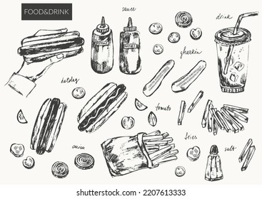 Hand drawn ink sketch of food and drink objects. Fast food hot dog, french fries, vegetable slices, ketchup and mustard bottles, soda drink, hand holding sandwich. For menu design, background.