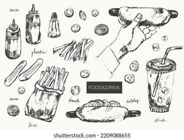 Hand drawn ink sketch of food and drink objects. Fast food hot dog, french fries, vegetable slices, ketchup and mustard bottles, soda drink, hand holding sandwich. For menu design, background.