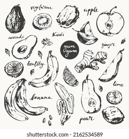 Hand drawn ink sketch of fruit. Tropical sweet banana, peeled banana, fruit bunch. Avocado, apple, pear, kiwi, ginger, lime. Realistic vector illustration for food menu, label and packaging design.