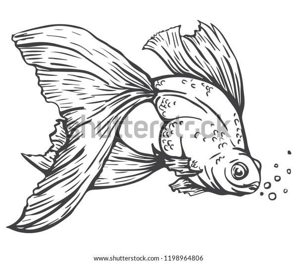 Hand Drawn Ink Sketch Gold Fish Stock Vector (Royalty Free) 1198964806