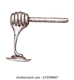 Hand drawn ink sketch illustration of honey spoon, organic nature product. Vector