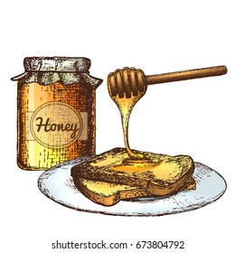 Hand drawn ink sketch illustration of honey pot, organic nature product. Vector