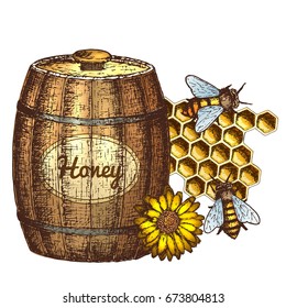 Hand drawn ink sketch illustration of honey, organic nature product. Vector