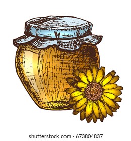 Hand drawn ink sketch illustration of honey pot, organic nature product. Vector