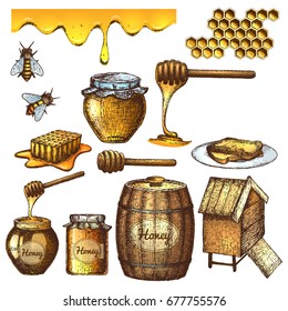 Hand drawn ink sketch illustration, set of honey, organic nature products. Vector