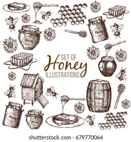 Hand drawn ink sketch illustration, set of honey, organic nature products. Vector
