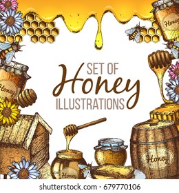 Hand drawn ink sketch illustration, set of honey, organic nature products. Vector