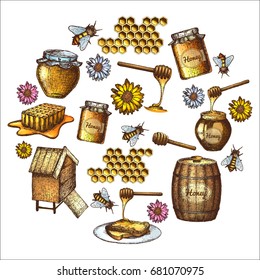Hand drawn ink sketch illustration, set of honey, organic nature products. Vector