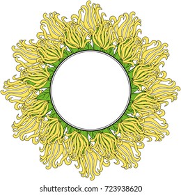 Hand drawn ink sketch illustration of cananga tree - ylang-ylang. Perfumery and cosmetics materials, aromatherapy, isolated.Greeting card template. Design artwork for poster, label, sticker, decor. 
