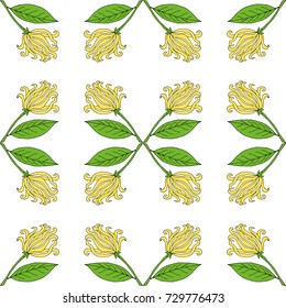 Hand drawn ink sketch illustration of cananga tree - ylang-ylang. Perfumery and cosmetics materials, aromatherapy. Isolated.Seamless pattern for textile, wallpaper, covers, surface, print, wrapping.