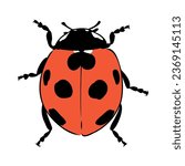Hand drawn ink sketch of ladybug ladybug, vector sketch