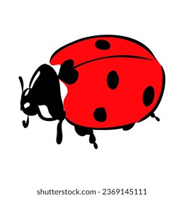 Hand drawn ink sketch of ladybug ladybug, vector sketch