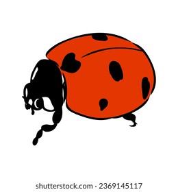 Hand drawn ink sketch of ladybug ladybug, vector sketch