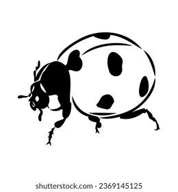 Hand drawn ink sketch of ladybug ladybug, vector sketch