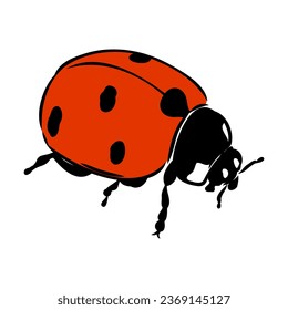 Hand drawn ink sketch of ladybug ladybug, vector sketch