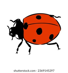 Esbozo de tinta dibujado a mano de ladybug ladybug, boceto vectorial