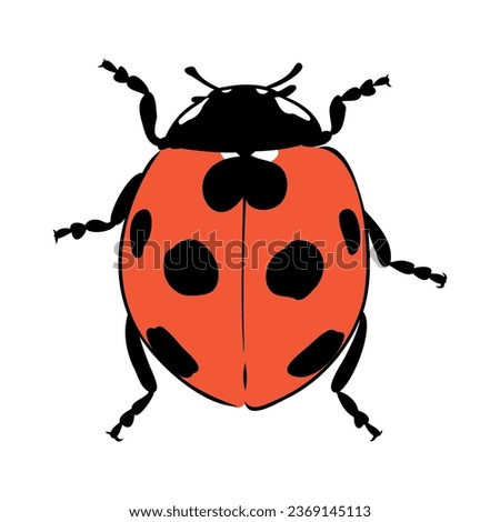 Hand drawn ink sketch of ladybug ladybug, vector sketch