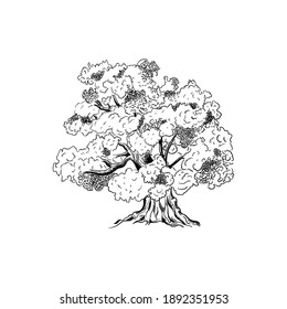Hand drawn ink sketch of oak tree, vector illustration isolated on white background. Retro style.