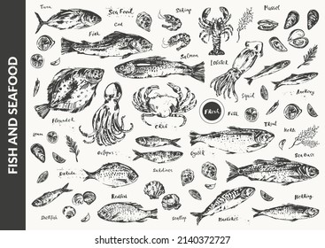 Hand drawn ink sketch of seafood, fish for menu background. Octopus, squid, lobster, crab, oyster, prawn, shrimp, mussel, salmon, tuna, dorado, trout, sardine, anchovy, flounder, mackerel, herring.