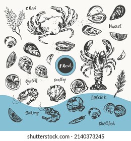 Hand drawn ink sketch of seafood and fish. Octopus, squid, lobster, crab, oyster, prawn, shrimp, mussel, shellfish, scallop. Illustration set for food background, menu design.