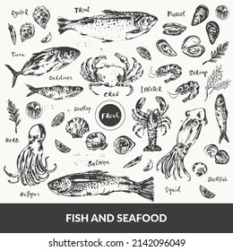 Hand drawn ink sketch of seafood and fish. Octopus, squid, lobster, crab, oyster, prawn, shrimp, mussel, shellfish, scallop. Illustration set for food background, menu design.