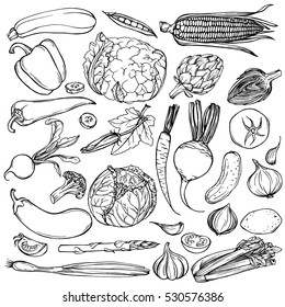 Hand drawn ink sketch. Set of various vegetables. Sketches of different food. Isolated on white