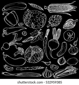 Hand drawn ink sketch. Set of various vegetables. Sketches of different food. Isolated on black