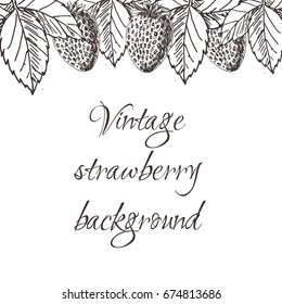Hand drawn ink sketch strawberry. Vintage botanical background with berries and leaves. Vector floral engraved illustration