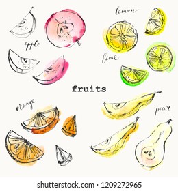 Hand drawn ink sketch and watercolor stain fruit slices. Apple cut, orange wedges, lemon and lime slices, pear pieces. For food design and packaging.