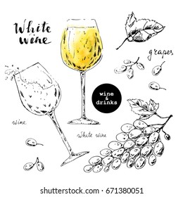Hand drawn ink sketch of white wine glasses with yellow watercolor stain and grape berries. Illustration for food and drink background or package label.