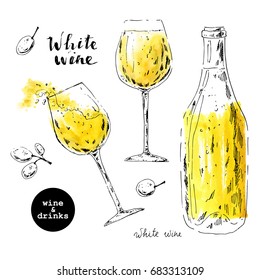 Hand drawn ink sketch of white wine glasses and bottle with yellow watercolor stains and grape berries. Illustration for food and drink background or package label.