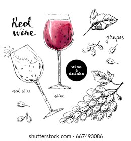 Hand drawn ink sketch of wine glasses with red watercolor stain and grape bunch and berries. Illustration for food and drink background, wine list or package label.