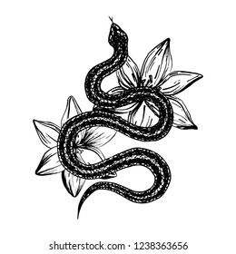 Hand drawn ink snake and lilies flowers, vector illustration. Snake silhouette illustration. Vector tattoo design. Graphic sketch for posters, tattoo, clothes, t-shirt design, pins, patches, stickers.