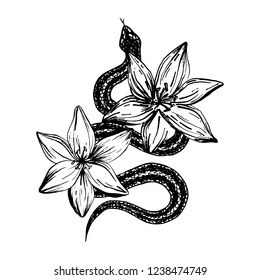 Hand drawn ink snake and lilies flowers, vector illustration. Snake silhouette illustration. Vector tattoo design. Graphic sketch for posters, tattoo, clothes, t-shirt design, pins, patches, stickers.