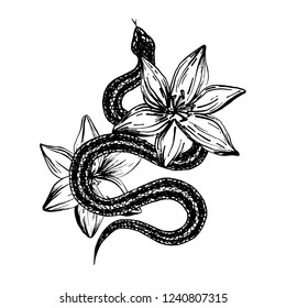Hand drawn ink snake and lilies flowers, vector illustration. Snake silhouette illustration. Vector tattoo design. Graphic sketch for posters, tattoo, clothes, t-shirt design, pins, patches, stickers.