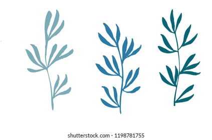 Hand drawn ink tree branches, vector illustration.