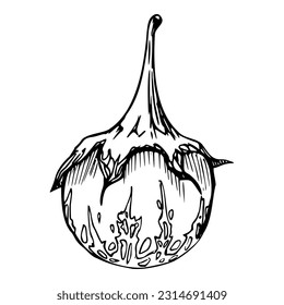 Escasez de ciruela de berenjenas con tintas de mano. Dibujo ilustrativo de arte para Halloween, Acción de Gracias, cosecha, agricultura. Objeto aislado, contorno. Diseño para menú de restaurante café de impresión, sitio web, invitación