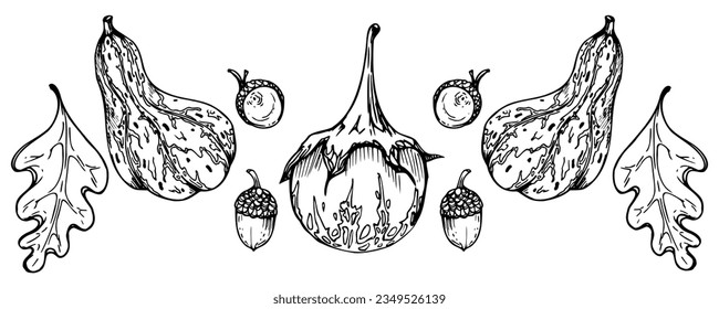 Escuadrón de la toga de berenjena de la planta de enganche de la hojarasca de la hojarasca de la hojarasca de la oruga dibujada a mano. Dibujo ilustrativo de arte para cosecha, Acción de Gracias, agricultura. Objeto aislado, contorno. Diseño para la impresión del menú del restaurante, café, sitio web, invitación