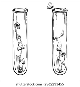 Hand drawn ink vector glass vial test tube with mushrooms. Sketch illustration art witchcraft, medicine chemistry, alchemy. Isolated object, outline. Design shops, logo, print, website, card, booklet