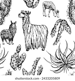 Hand drawn ink vector illustration, nature desert plant succulent cactus aloe agave, llama alpaca wool animals. Seamless pattern isolated on white background. Design travel, vacation, brochure, print