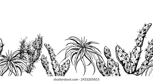 Hand drawn ink vector illustration, nature tropical exotic desert plant succulent cactus aloe agave leaves. Seamless banner isolated on white background. Design travel, vacation, brochure, print