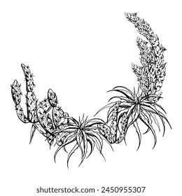 Hand drawn ink vector illustration, nature tropical exotic desert plant succulent cactus aloe agave leaves. Wreath frame isolated white background. Design travel, vacation, brochure, print, botanical